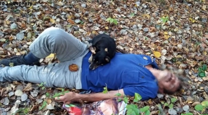 Свалявський Хатіко: собака врятував свого господаря, якому стало зле у лісі