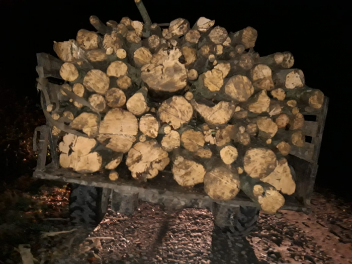 Прикордонники затримали на Березнянщині вантажівку з незаконно вирубаною деревиною