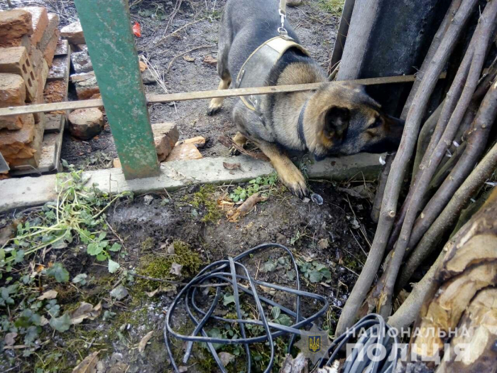 Майже як в казці: собака-поліцейський допоміг повернути вкрадене у Мукачеві майно