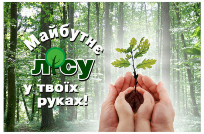 Лісівники Берегівщини підтримали акцію “Майбутнє лісу у твоїх руках” (ВІДЕО)