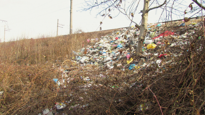 Зона відпочинку, що нагадує звалище: одна з набережних Ужгорода завалена сміттям (ВІДЕО)