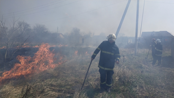 Півсотні рятувальників та лісівників цілу ніч гасили пожежу на Ужгородщині (ФОТО)
