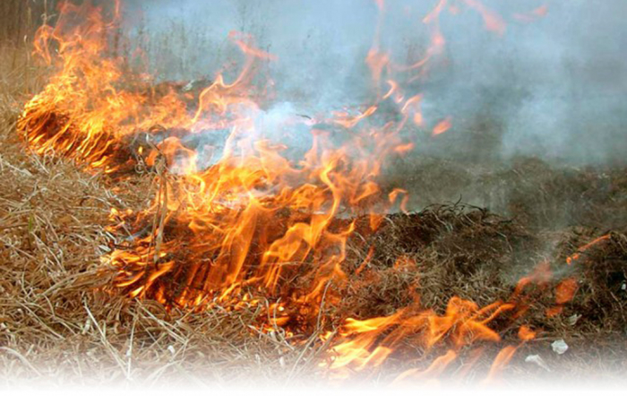 "Гарячі" вихідні: упродовж минулої суботи-неділі на Закарпатті виникло 44 пожежі