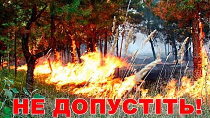 Закарпатців закликають берегти ліс від пожеж