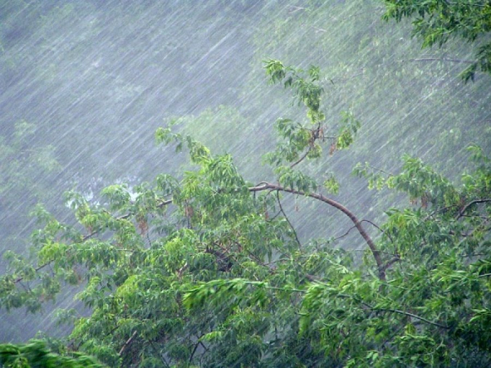 Травень на Закарпатті почнеться сильними зливами та підняттям рівня води в річках
