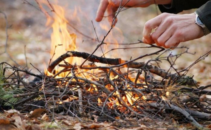 На Ужгородщині зафіксовано спробу підпалу лісу