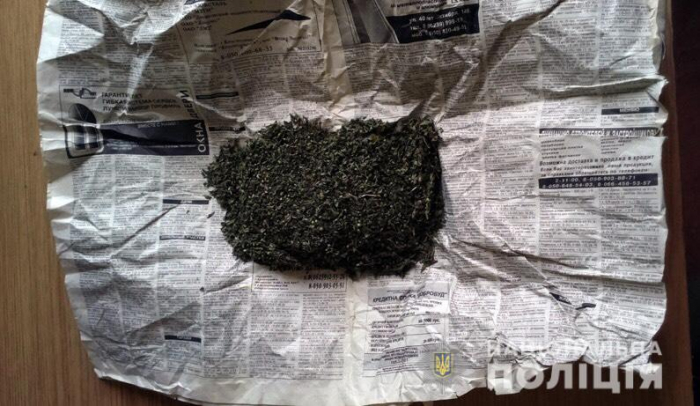 Обшук помешкання мукачівця – поліцейські вилучили наркотичні рослини
