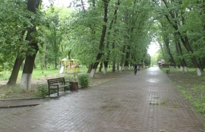 Майже 250 тис. грн європейського гранту витратять на зони відпочинку у Боздоському парку в Ужгороді