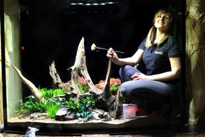 Ужгородська аквадизайнерка Тереза Лазар створює неймовірні сакурові сади та тропічні ліси в акваріумах (ФОТО)