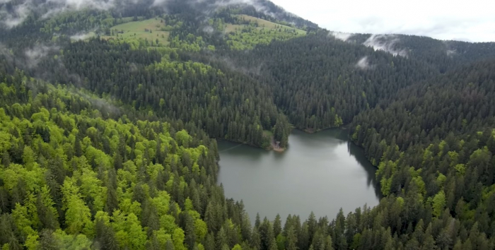 Відео дня: повноводне озеро Синевир показали з квадрокоптера