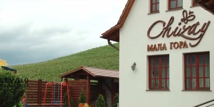 Закордонні експерти оцінювали потенціал виноробів Закарпаття та місцевих туристичних атракцій