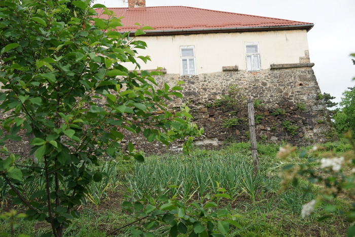 Як у давнину: в Ужгородському скансені росте часник, зеленіє картопля, розростається виноград