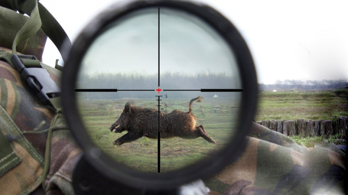 Особливості оптичного прицілу для полювання: як зробити правильний вибір
