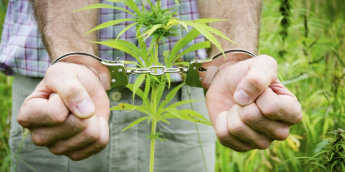 З початку року на Закарпатті вже вчинен 200 наркозлочинів