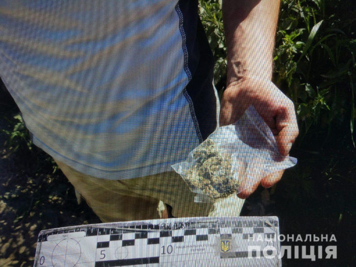 Поводився підозріло: копи виявили в ужгородця 10 грамів канабісу