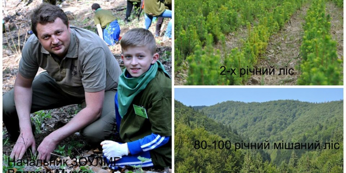 На Закарпатті понад 600 учнів вчаться у шкільних лісництвах