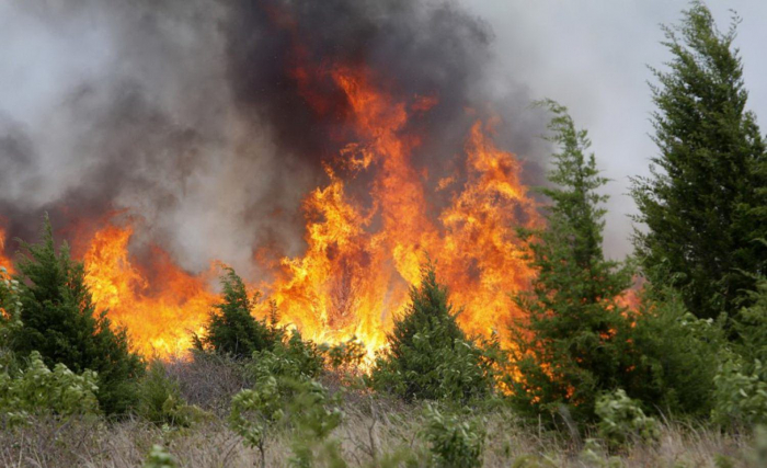 Сьогодні на Закарпатті – надзвичайна пожежна небезпека