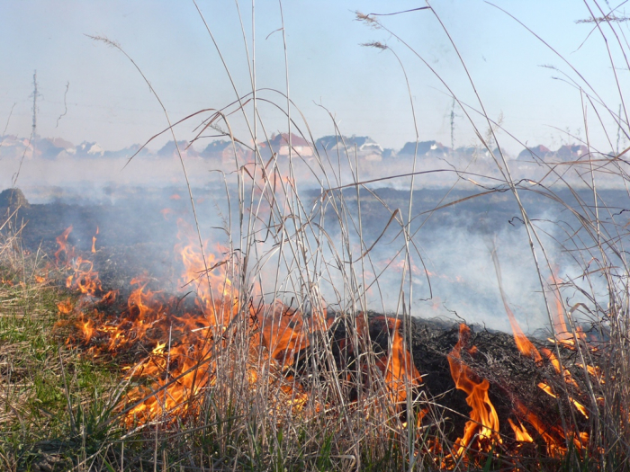 Знову спека – знову пожежі в екосистемах на Закарпатті