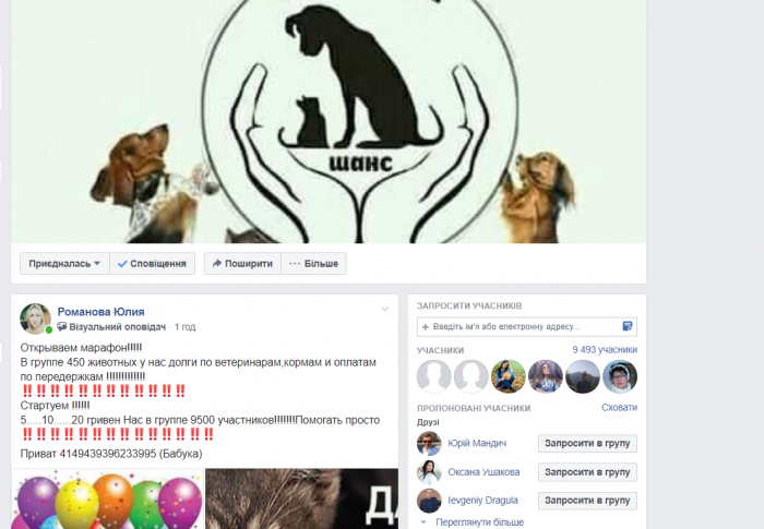 Ужгородські волонтери оголосили терміновий марафон зі збору коштів для тварин. Долучайтеся! 