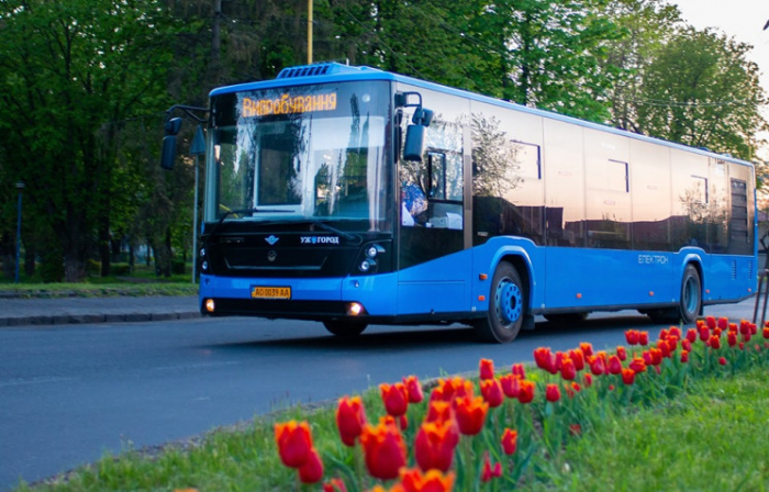 Визнано переможців конкурсу з перевезення пасажирів на деяких міських автобусних маршрутах Ужгорода