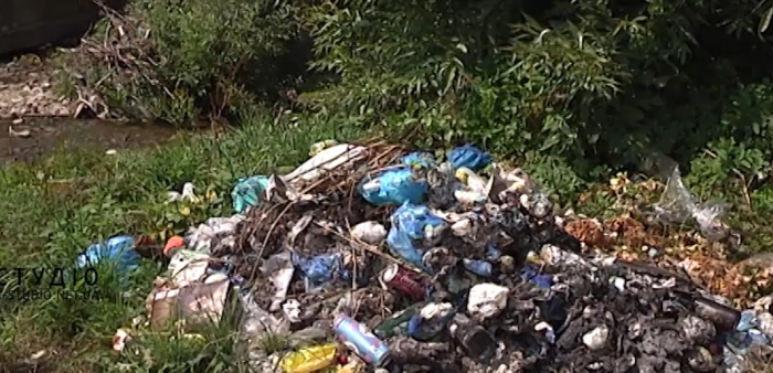Жителі Воловеччини про сміттєву проблему: "Це невозможно, треба тиснути на владу!"