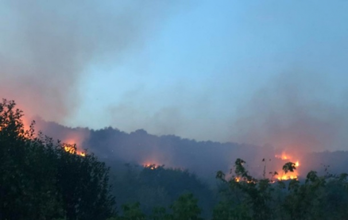38 осіб гасили пожежу на Берегівщині (ВІДЕО)