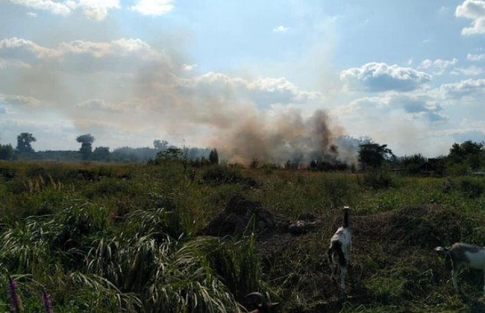 Пожежа на Берегівщині: вогонь уже поблизу сміттєзвалища 