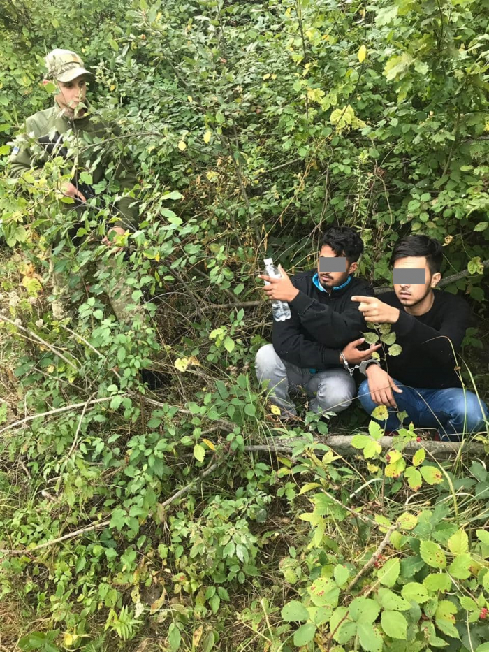 За 20 метрів до омріяного ЄС: четвірку нелегалів затримали прикордонники біля Ужгорода