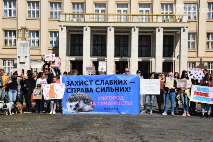 Ужгород – місто гуманне! – в обласному центрі втретє пройшов марш за права тварин