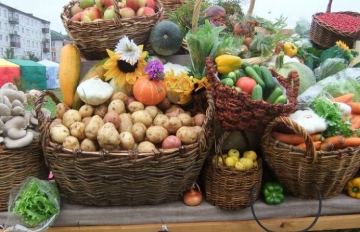 Ужгород запрошує на сільськогосподарський ярмарок «Золота осінь – 2019»