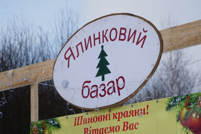 Лісівники Закарпаття продали 3758 новорічних ялинок на 233 тисячі гривень
