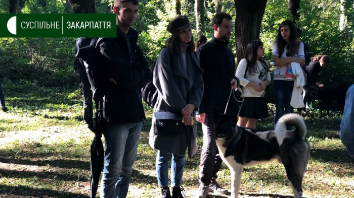 Майже 50 собак привели на виставку в Боздоський парк в Ужгороді