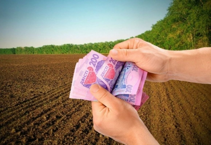 Закарпатська ДПС: які земельні ділянки не підлягають оподаткуванню земельним податком