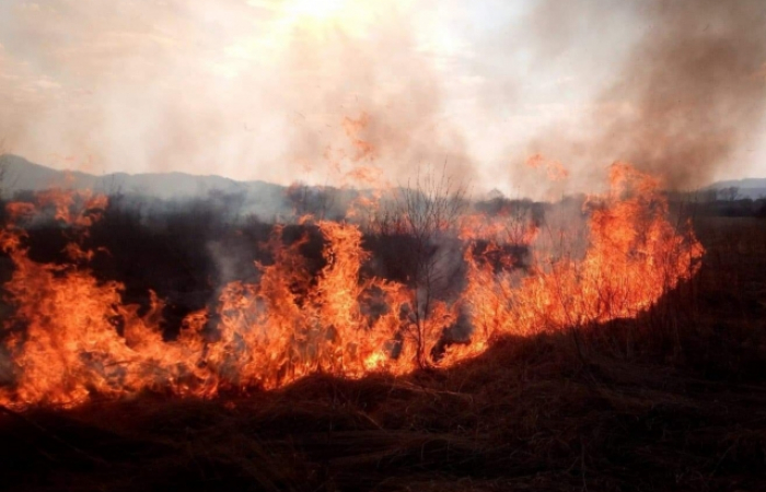 Закарпаття: у жовтні рятувальники ліквідовували майже 80 пожеж