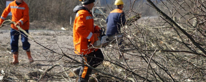 На Ужгородщині рятувальники вирубують аварійно-небезпечні дерева вздовж автомобільних доріг