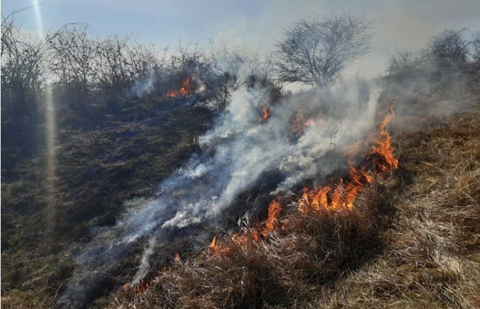 Через масове спалення в області сухої трави, лісівники звернулися до закарпатців