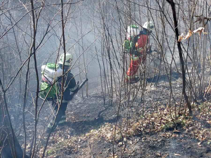 Закарпатці продовжують палити траву та сухостій – 50 пожеж за минулу добу