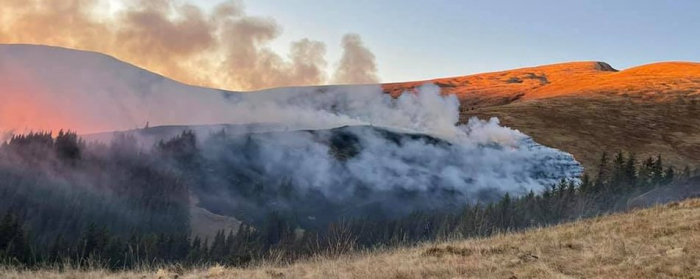 Пожежа на Закарпатських полонинах: вогонь ліквідовували понад сто людей (ФОТО)