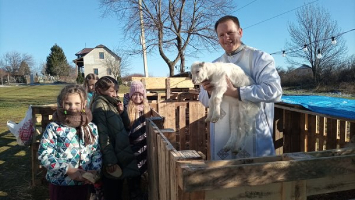 Віслюк, кози та вівці: живий вертеп з тваринами облаштували в Ужгороді