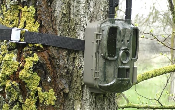 Ужанському нацпарку передали фотопастки для моніторингу великих хижаків