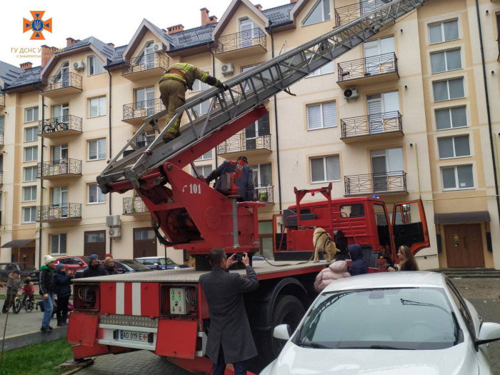 В Ужгороді рятувальники діставали пса, який опинився на даху п'ятиповерхівки