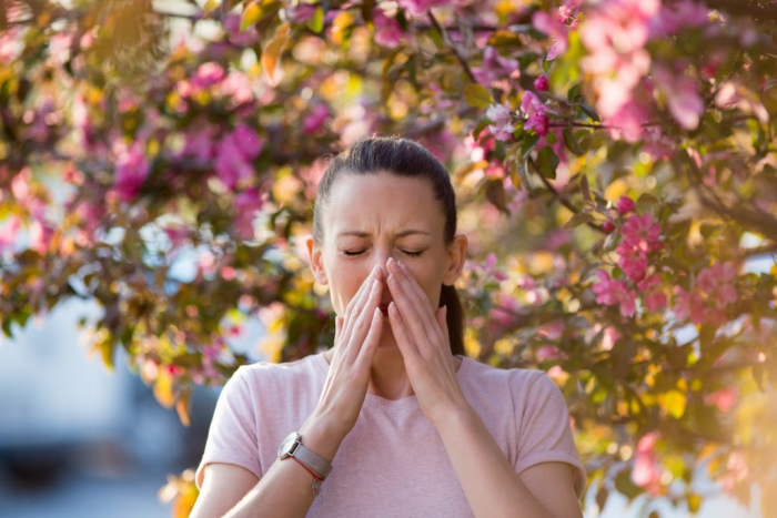 Нежить, чхання, сльозотеча: як алергікам на Закарпатті убезпечити себе від страждань із початком цвітіння