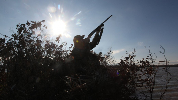 На території Закарпатської області заборонили полювання