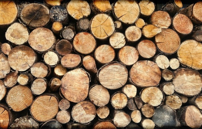 Закарпатцям - про спрощення процедури купівлі дров у Держагенстві  лісових ресурсів