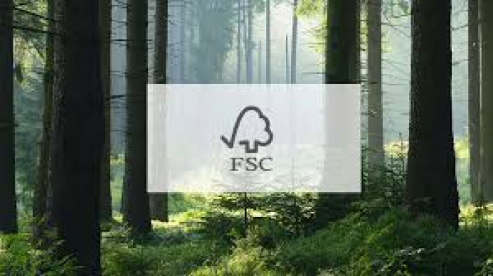 Свалявський та Берегівський лісгоспи отримали FSC-сертифікат