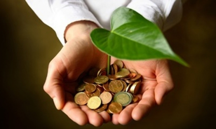 Закарпаття: платники сплатили понад 13,5 млн грн екологічного податку