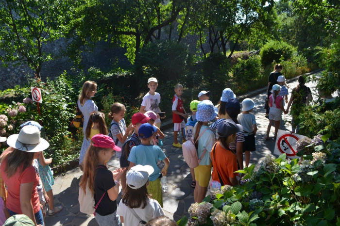 «Зелені канікули» в Ужгороді: ГО «Екосфера» впродовж трьох місяців допомагала дітям-переселенцям долати виклики війни
