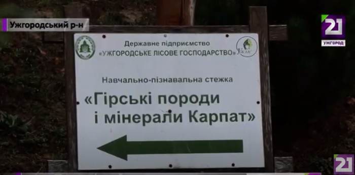 В Ужгородському лісгоспі діє музей під відкритим небом (ВІДЕО)