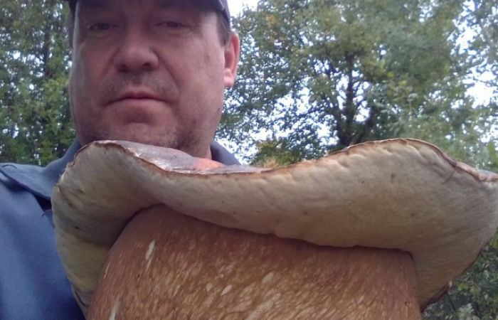 На Закарпатті любителі "тихого полювання" продовжують знаходити гриби рекордних розмірів (ФОТОФАКТ)