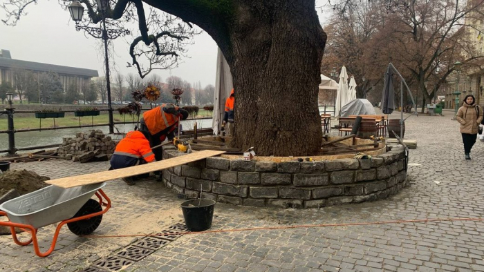 В Ужгороді ремонтують лавиці на площі Фенцика і біля ясена Масарика
